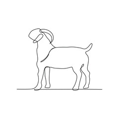One continuous line drawing of Goat vector illustration. Goats are highly social animals. Animal themes design vector with simple linear style concept. Good design for education presentation purpose.