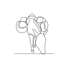 One continuous line drawing of Donkey vector illustration. Donkey are capable of carrying heavy loads and pulling carts. Animal themes design vector with simple linear style concept illustration. 