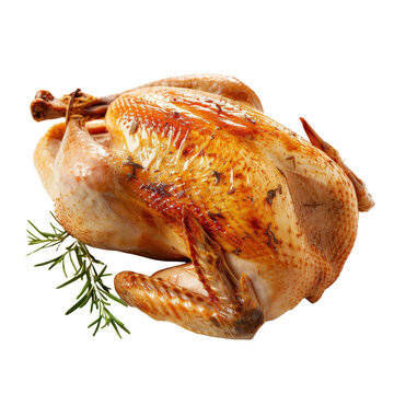 Whole roasted turkey with golden skin and sprigs of rosemary, perfect for holiday meals and festive gatherings.