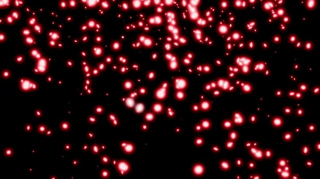 Abstract red glowing fiery particles fly in random directions on a black background seamless loop 3d render. Glitter bokeh elements backdrop for award ceremony, greeting card or celebration