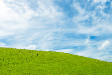 Lush green grass hill under blue sky with white clouds.