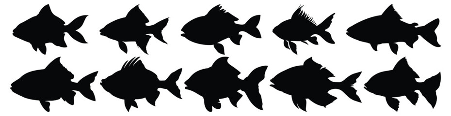 Fish silhouettes set, aquatic pack of vector silhouette design, isolated background