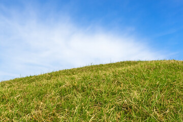 Lush green grass hill against a bright blue sky with white clouds.