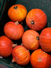 Close up of a fresh Hokkaido pumpkins in a basket at grocery store 