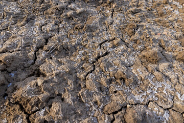 the plowed soil covered with snow and frost on the field