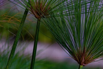 exposed nature, green is the protagonist