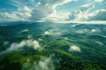 Obraz premium A stunning landscape showcases vibrant green hills shrouded in mist, with mountains rising elegantly in the background.