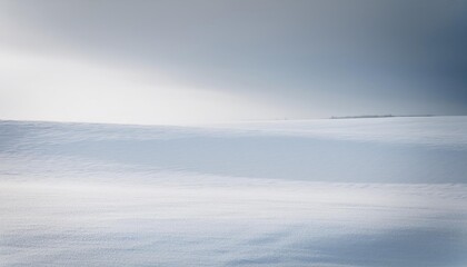 Fototapeta premium Snow covered field with a cloudy sky