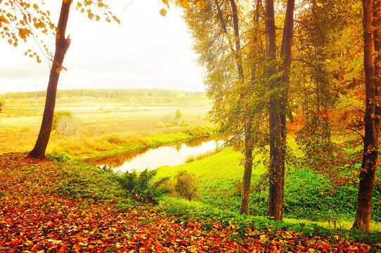 Autumn forest landscape in cloudy weather - view of valley of Soroti river in Pushkinskiye Gory, Russia, soft focus processing. Autumn forest nature