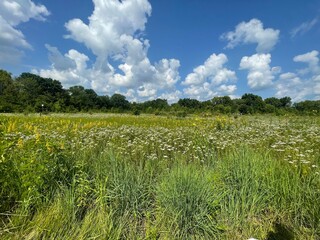Open field with blue sky and clouds