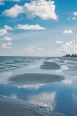 Los azules en la isla de Sanibel