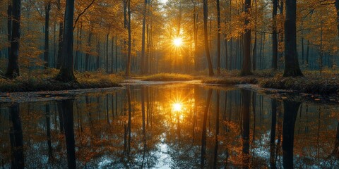 Obraz premium Sunbeams Through Autumn Forest Reflected in Still Water