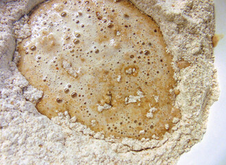 yeast activating in whole wheat flour