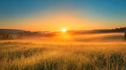Fototapeta premium Golden Sunrise Over Mist-Covered Field