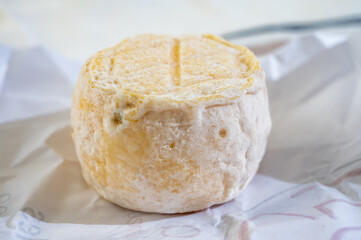 Cheese collection, soft goat French cheese with mold crottin de Chavignol produced near Sancerre on cheese farm, Loire Valley close up