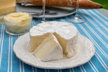 French soft Camembert cheese, original Camembert de Normandie, close up with white mold