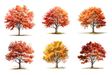 Autumn Tree Collection Bundle Set Isolated on a Transparent Background
