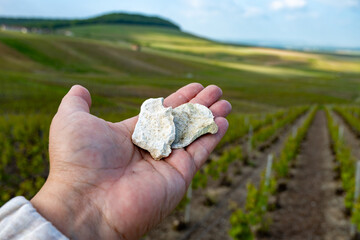 Hand with white chalk stones from soils of Cote des Blancs near Cramant and Avize, region Champagne, France and view on grand cru vineyards