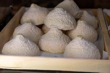 Cheese collection, French Meringue de Chevre pyramid cheese made from goat milk in region Tarn in France close up