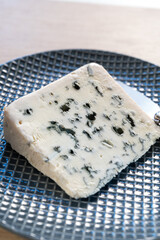 Piece of French blue cheese Roquefort, made from sheep milk in caves of Roquefort-sur-Soulzon