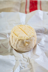 Cheese collection, soft goat French cheese with mold crottin de Chavignol produced near Sancerre on cheese farm, Loire Valley close up