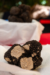 Winter truffle fair in Sarlat-le-Caneda, Perigord Noir, Dordogne, one huge black winter truffle, tasty expensive mushroom