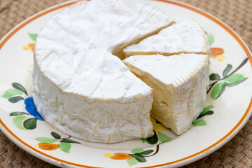 French soft Camembert cheese, original Camembert de Normandie, close up with white mold