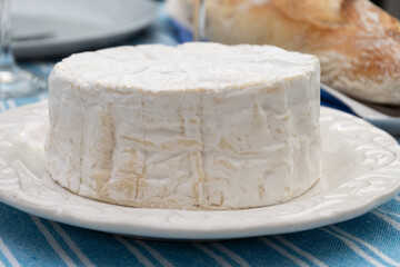 French soft Camembert cheese, original Camembert de Normandie, close up with white mold