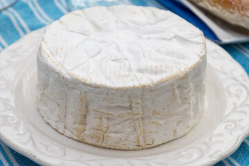 French soft Camembert cheese, original Camembert de Normandie, close up with white mold