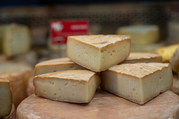 Farmer shop in Biarritz, France, Basque Country and Pyrenees sheep, cow and goat cheeses for sale, Tomme, Fermier Brebis, farmers cheese, close up