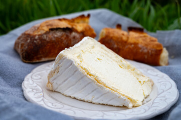 Delice de Bourgogne French cow's milk cheese from Burgundy region of France close up