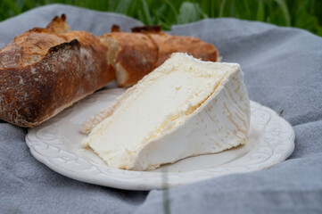 Delice de Bourgogne French cow's milk cheese from Burgundy region of France close up