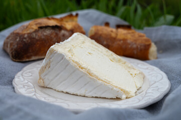 Delice de Bourgogne French cow's milk cheese from Burgundy region of France close up