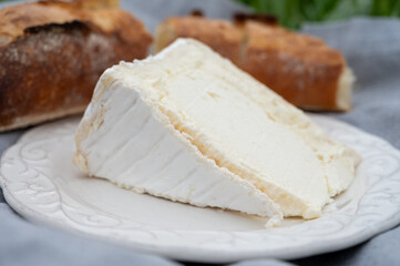 Delice de Bourgogne French cow's milk cheese from Burgundy region of France close up