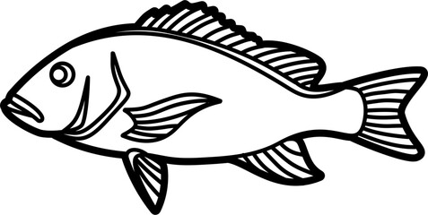 Snapper fish illustration outline vector