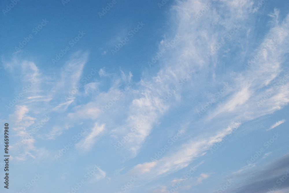 Wall mural gentle white clouds in the blue sky