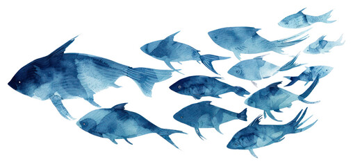 Obraz premium PNG School of 9 fish water angelfish aquatic.