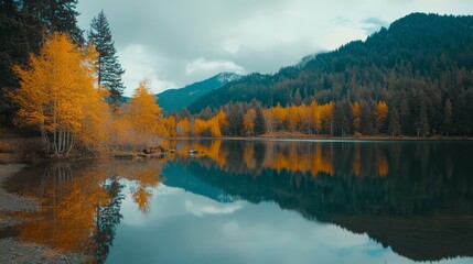 Naklejka premium Scenic lake at the foot of misty mountains surrounded by autumn trees with vibrant yellow leaves and a clear reflection in the water.