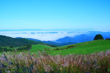 阿原山高原 - 緑のじゅうたんと広がる絶景