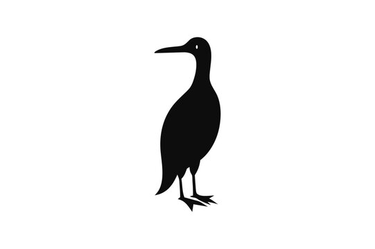 recommend clip art: Little Grebe Bird vector art and illustration