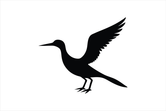 recommend clip art: Little Grebe Bird vector art and illustration