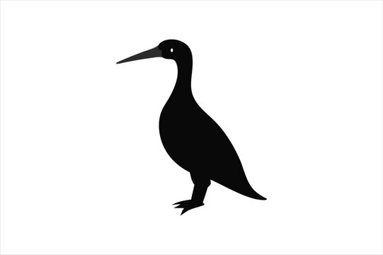 recommend clip art: Little Grebe Bird vector art and illustration