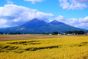 秋の磐梯山 - 黄金色に輝く稲穂の風景