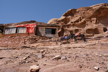 ペトラ遺跡 - 自然と歴史が交差する光景