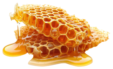 PNG Natural honeycomb dripping honey