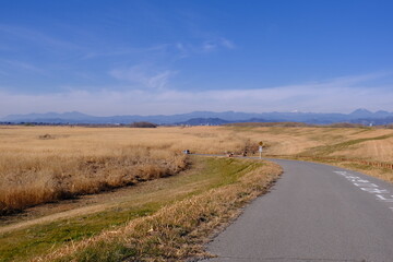 渡良瀬遊水地 - 静寂と広大な湿原の絶景