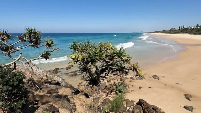 Sunshine Beach : Scenic Landscape with dramatic sweep of golden sand in Noosa Heads National Park, Queensland, Australia