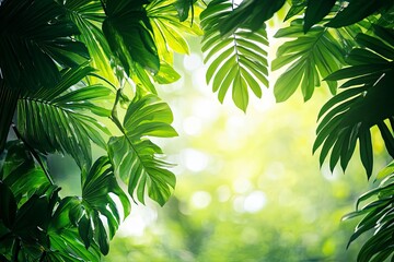 Nature leaves, green tropical forest, backgound concept , ai