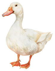 Obraz premium PNG Charming watercolor duck illustration