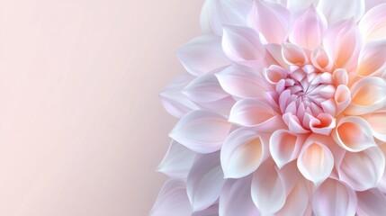 Fototapeta premium The flower displays soft pastel purple petals with hints of pink, creating an elegant and soothing aesthetic in a gentle setting